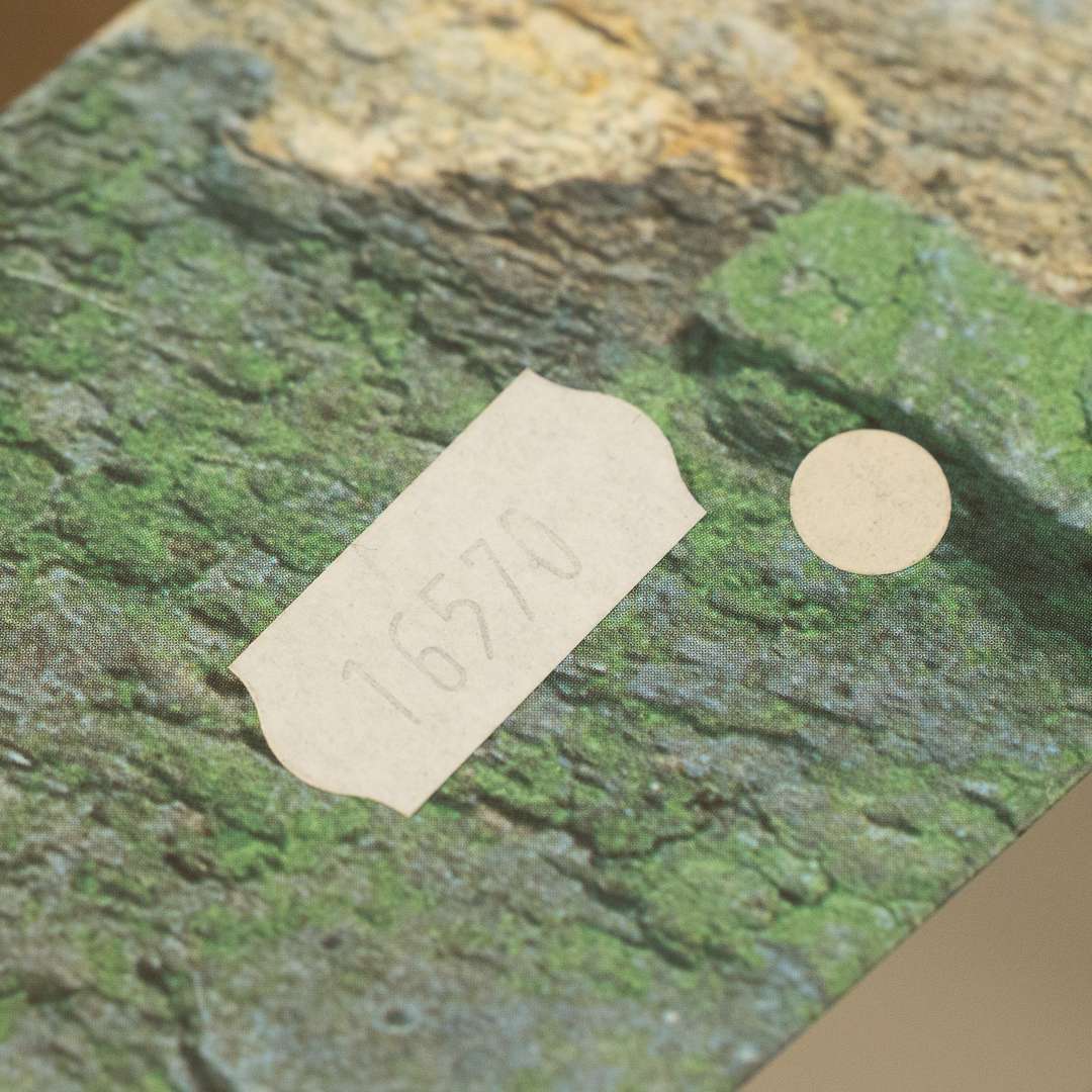 Rolex Explorer 2 16570